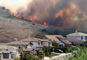 Wildfire